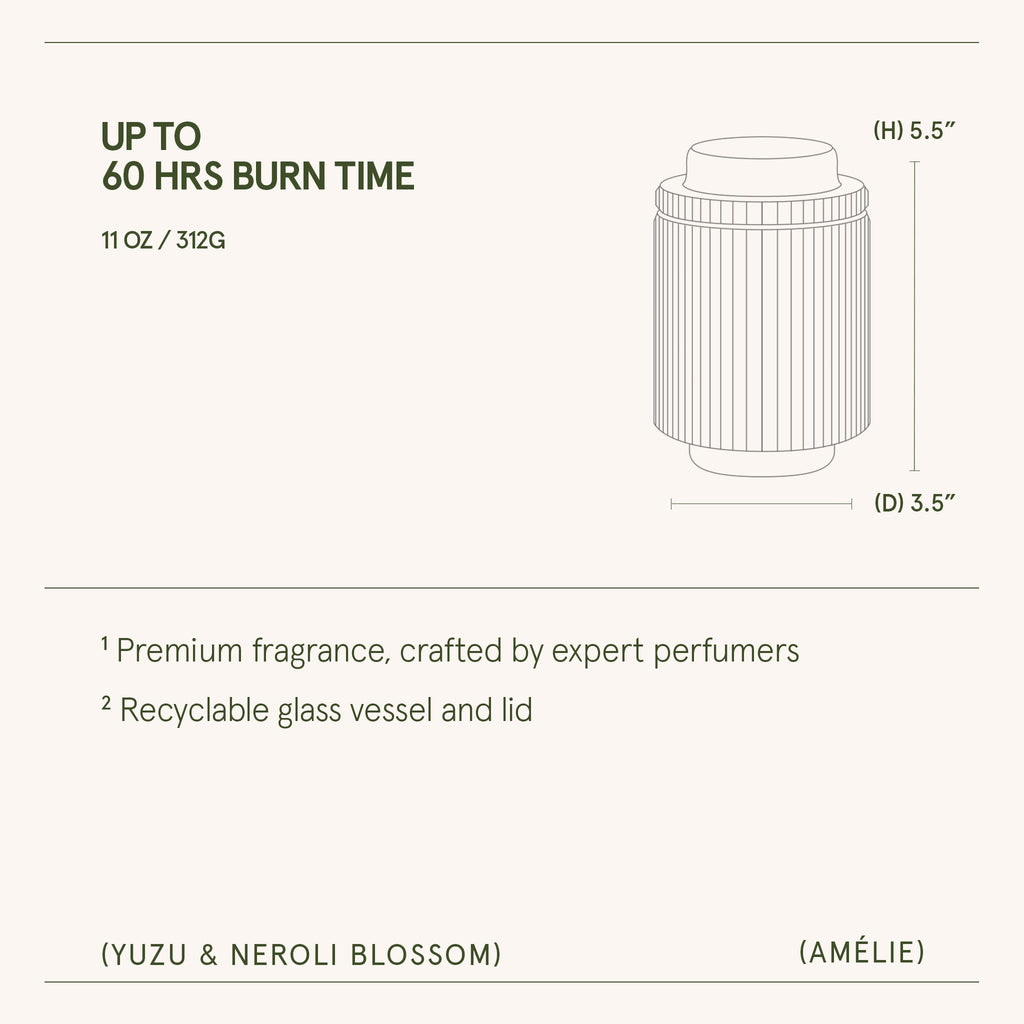 Amélie – Yuzu & Neroli Blossom Candle