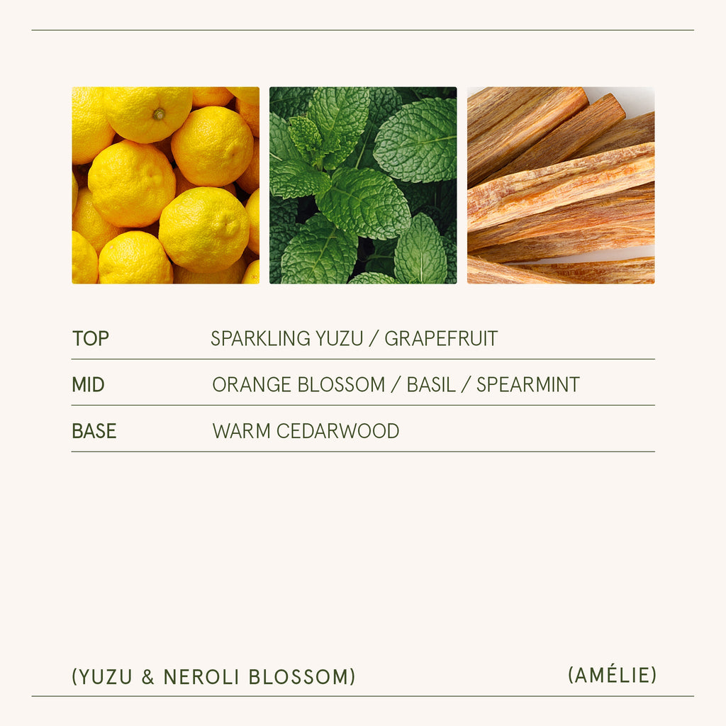 Amélie – Yuzu & Neroli Blossom Candle