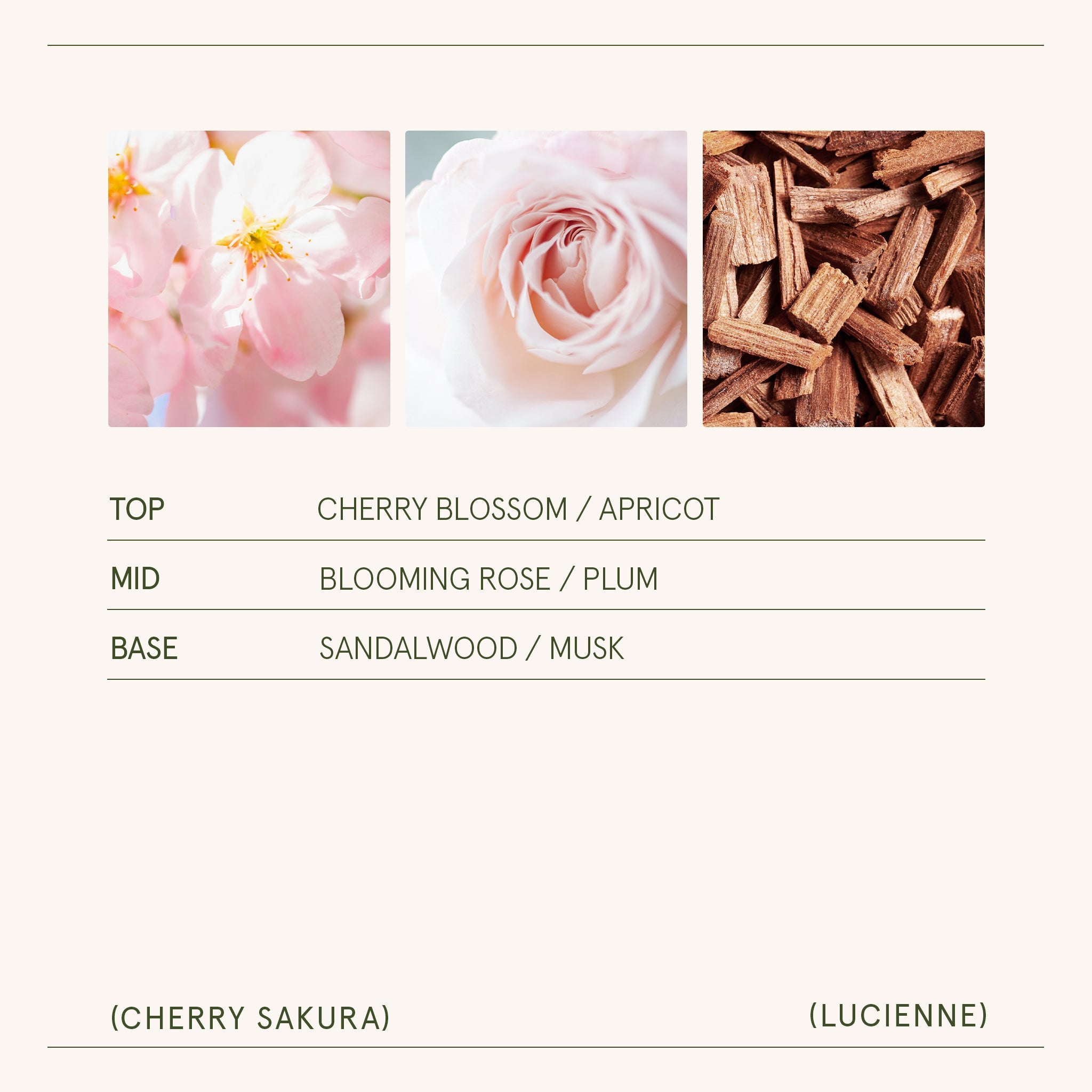 Lucienne - Cherry Sakura Candle