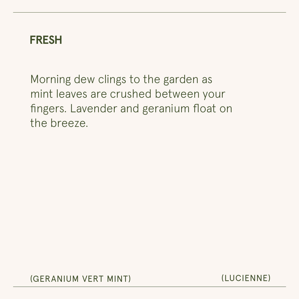 Lucienne - Geranium Vert Mint Candle
